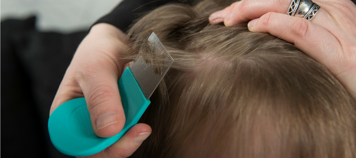 Démangeaisons du cuir chevelu les causes éventuelles Elimax